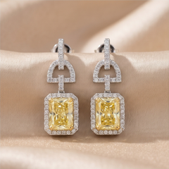 2.49 CT Radiant & Round-Cut Two-Tone Earrings